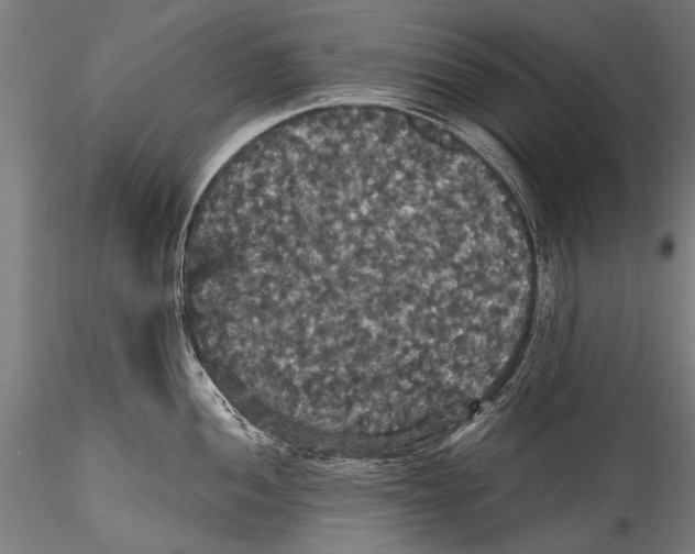 X0000115321052200911301554