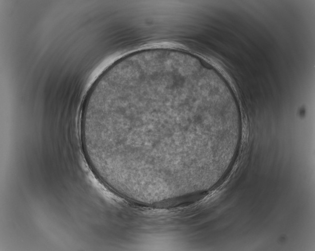 X0000115321054200911301554