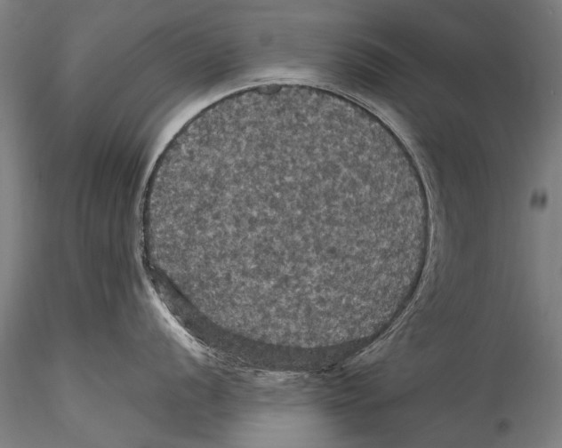 X0000115321056200911301554