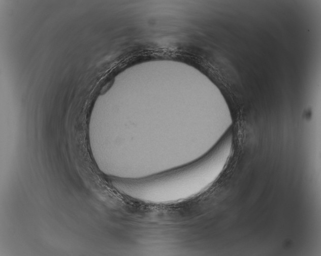 X0000115321057200911301553