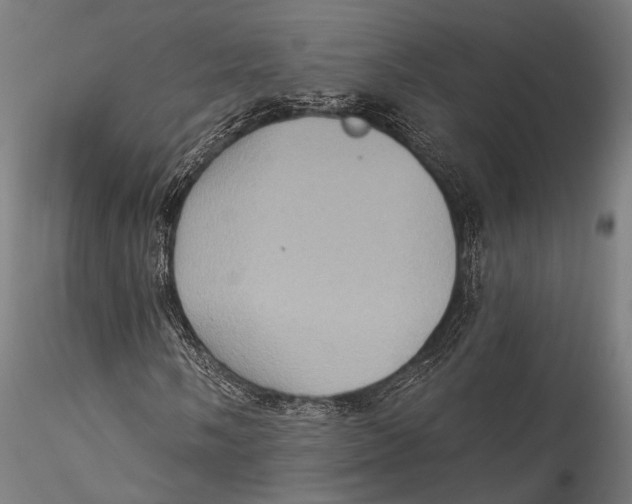 X0000115321058200911301553