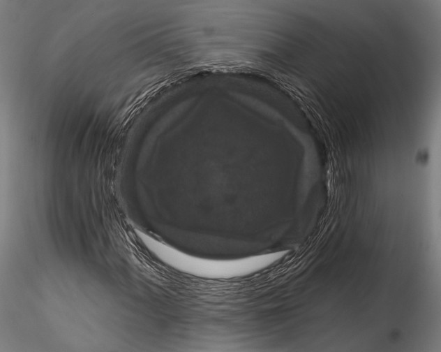 X0000115321060200911301553