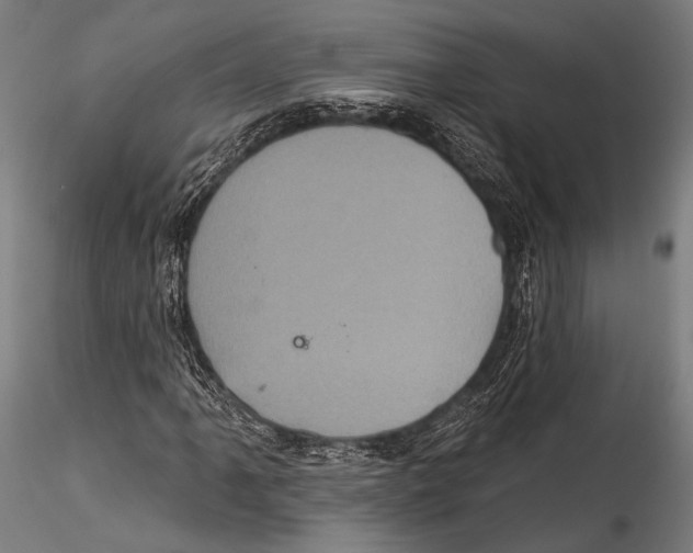 X0000115321061200911301553