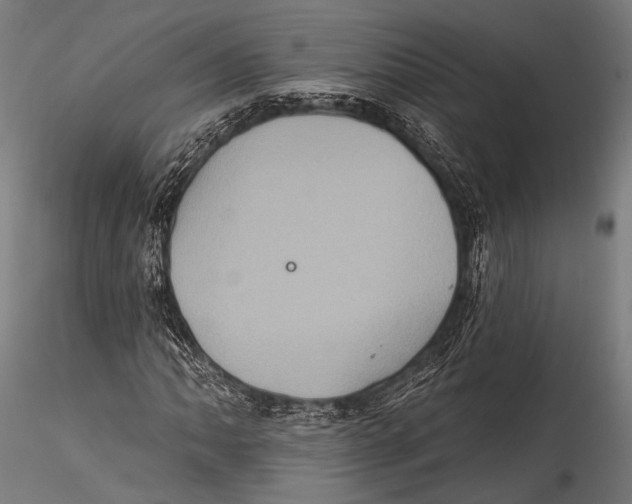 X0000115321062200911301553