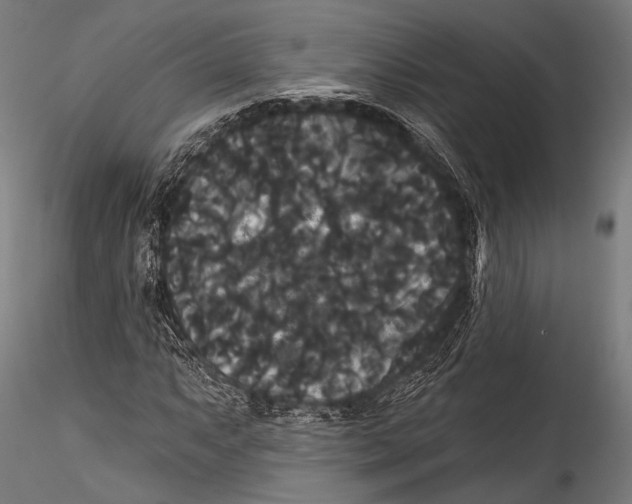 X0000115321063200911301553