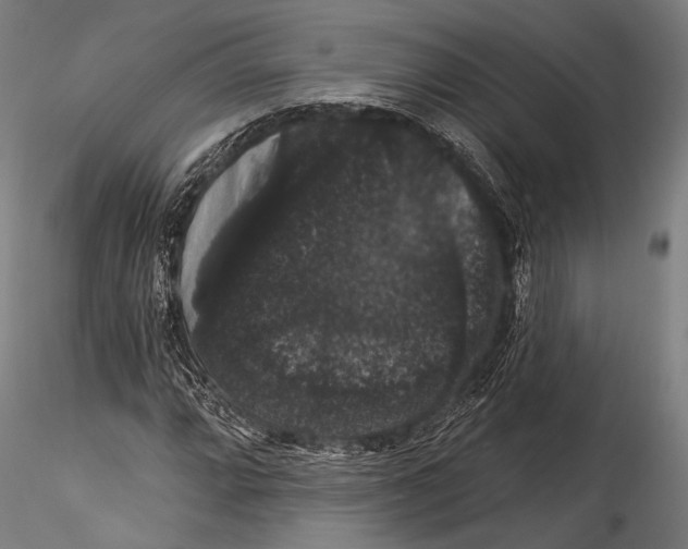 X0000115321064200911301553