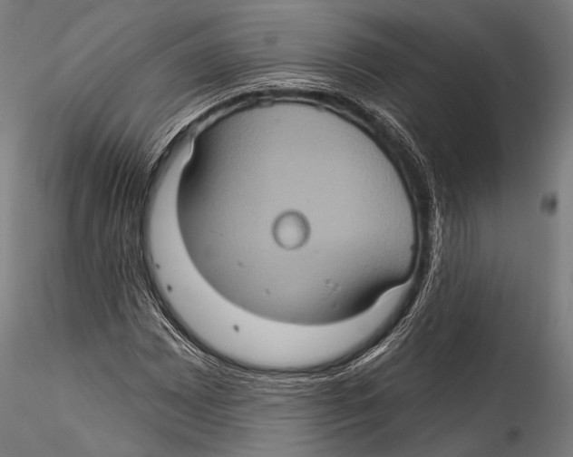 X0000115321065200911301553