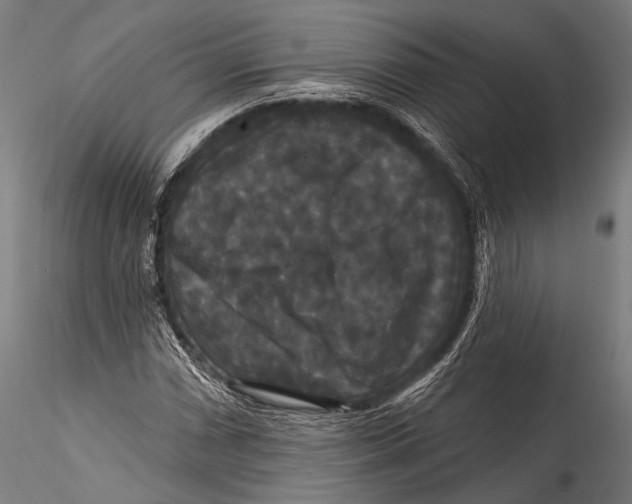 X0000115321066200911301553