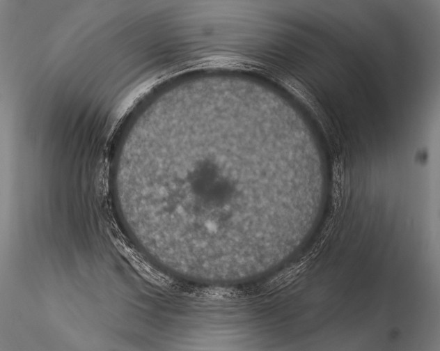 X0000115321067200911301553