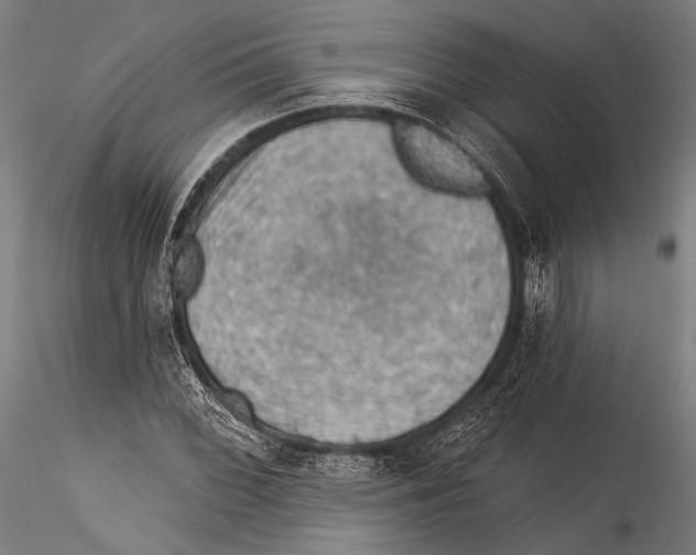 X0000115321068200911301553