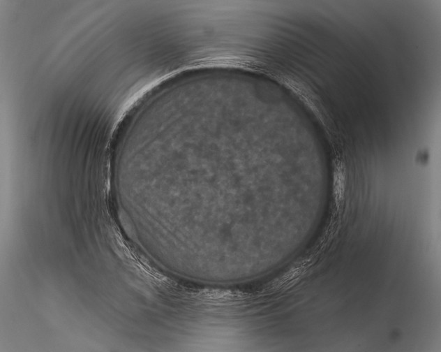 X0000115321069200911301553