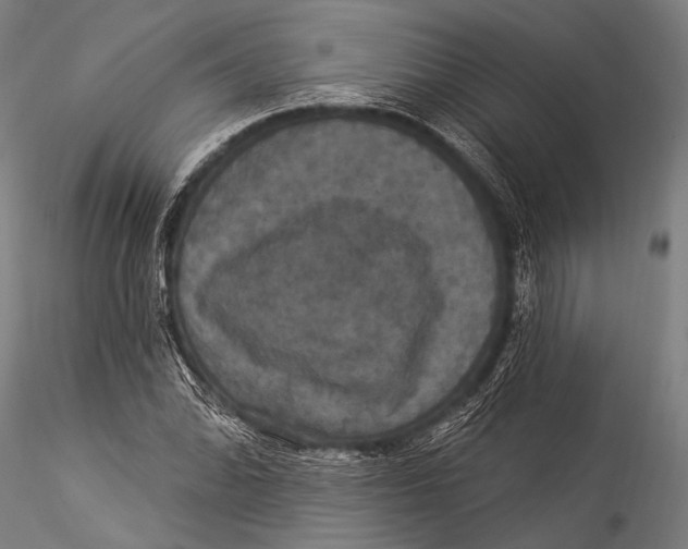 X0000115321070200911301553