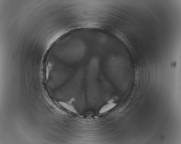 X0000115321071200911301553