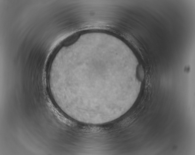 X0000115321072200911301553