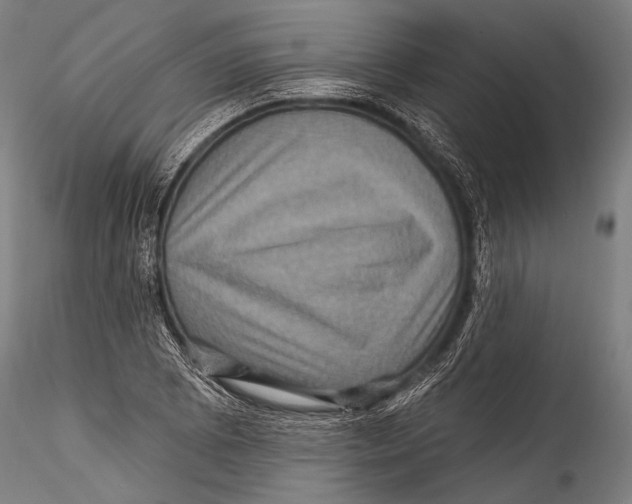 X0000115321073200911301553