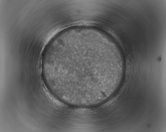 X0000115321075200911301553