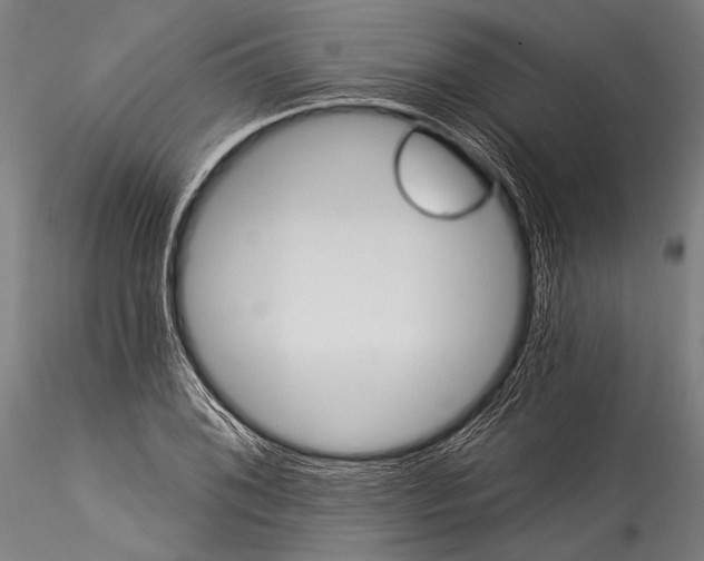 X0000115321076200911301553