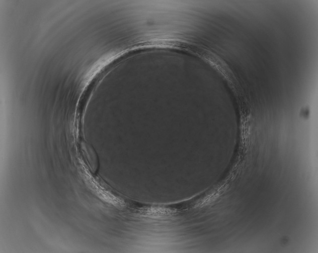 X0000115321077200911301553