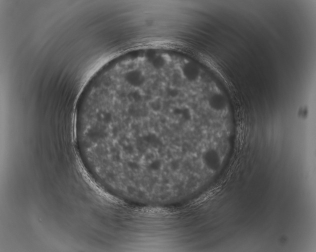 X0000115321079200911301553