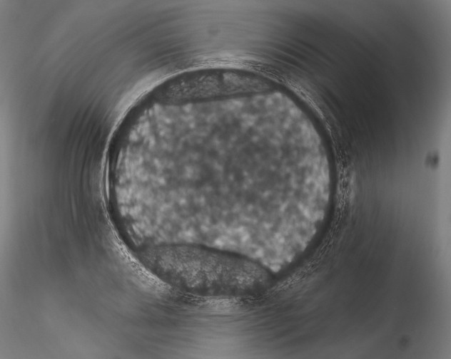 X0000115321080200911301553