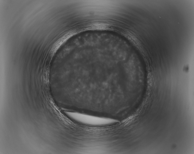 X0000115321081200911301553