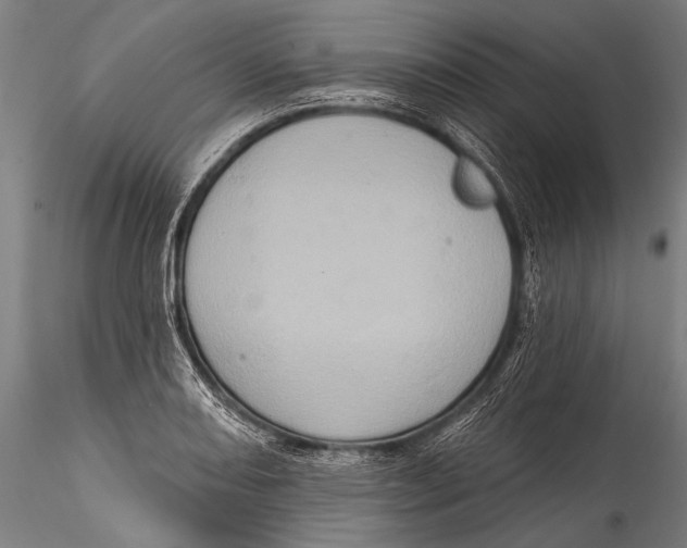 X0000115321082200911301553