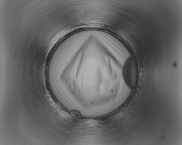 X0000115321085200911301553