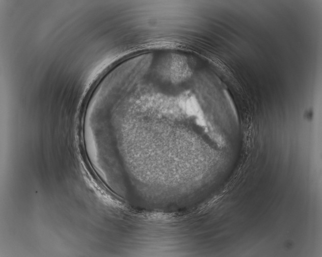 X0000115321086200911301553