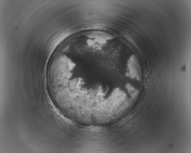 X0000115321087200911301553