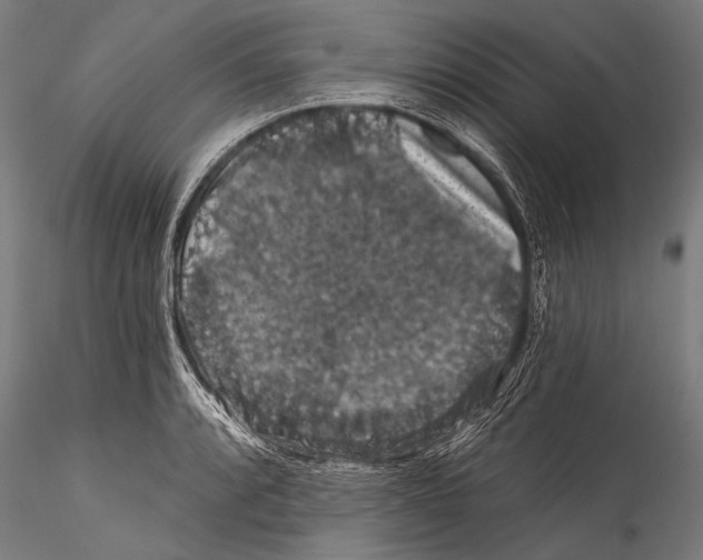 X0000115321088200911301553