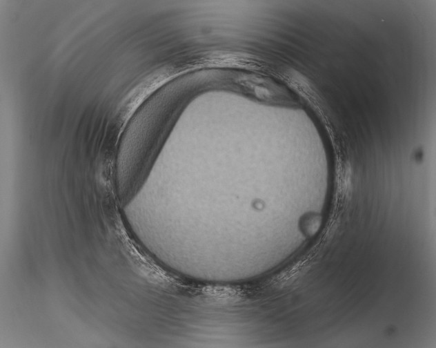 X0000115321089200911301553