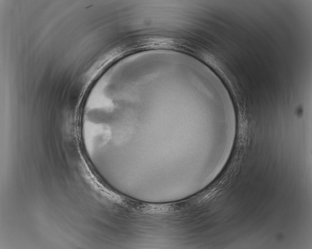 X0000115321090200911301553