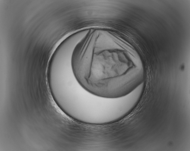 X0000115321092200911301553