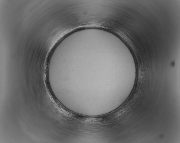 X0000115321093200911301553