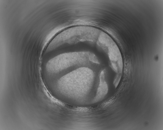 X0000115321094200911301553