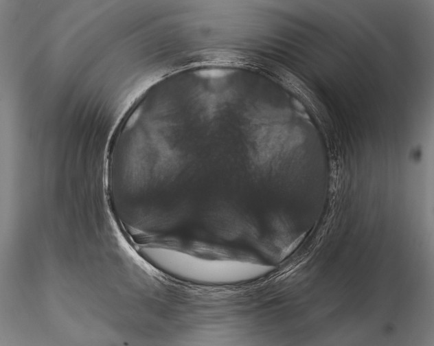 X0000115321095200911301553