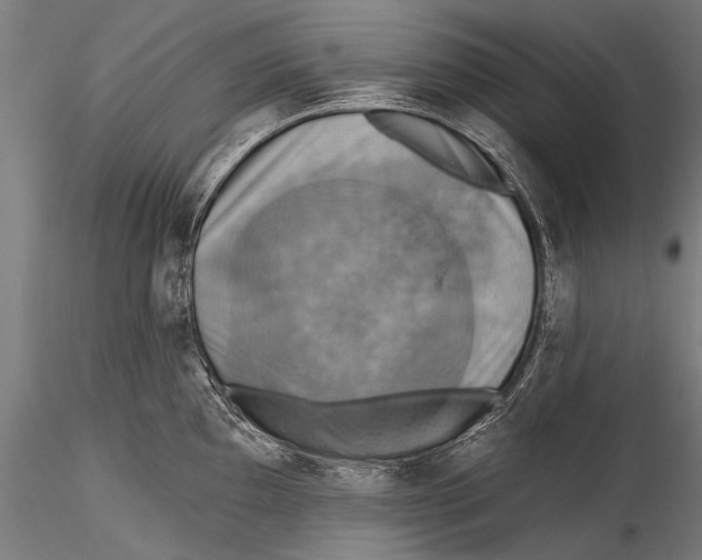 X0000115321097200911301553