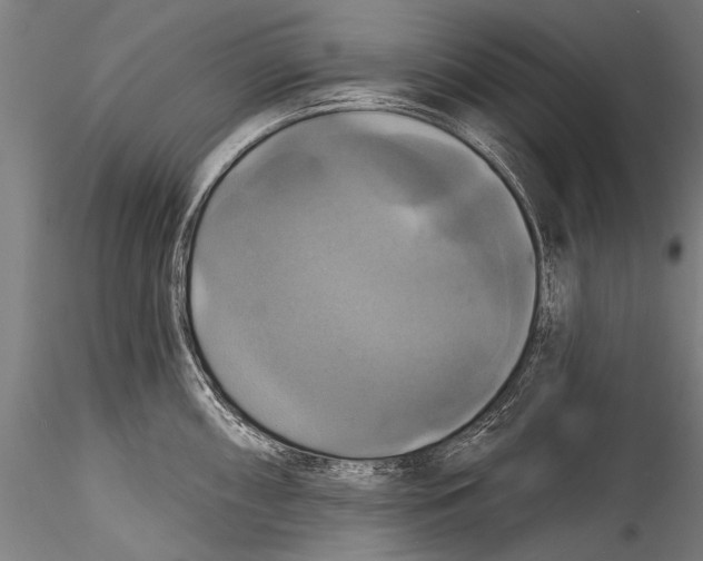 X0000115321098200911301553