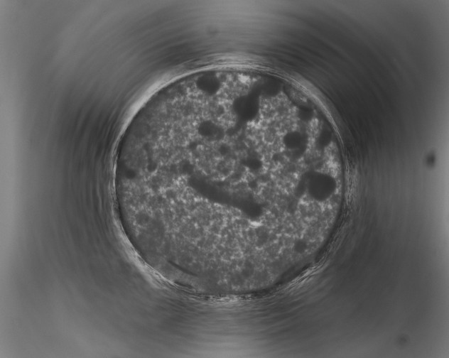 X0000115321099200911301553