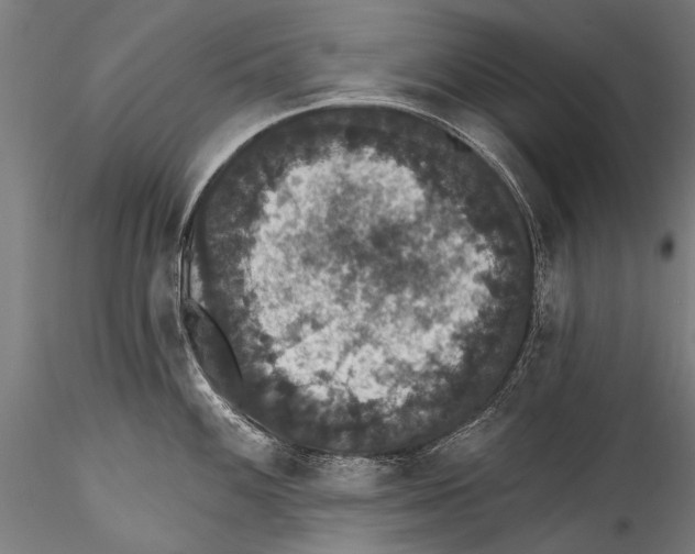 X0000115321100200911301553