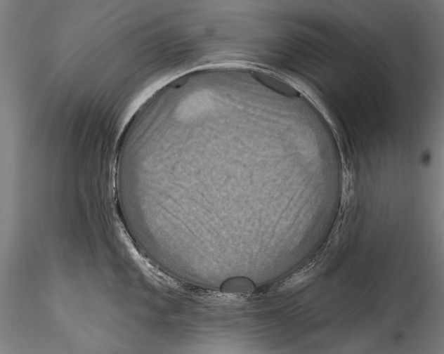 X0000115321101200911301553