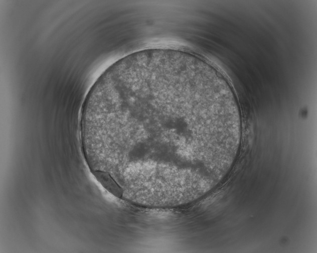 X0000115321103200911301553