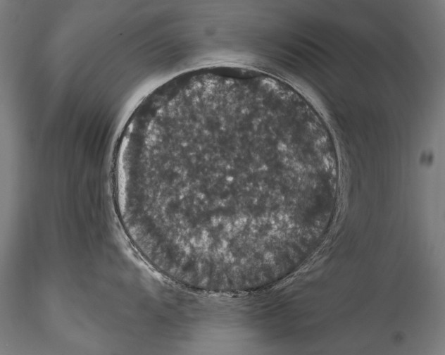 X0000115321104200911301553