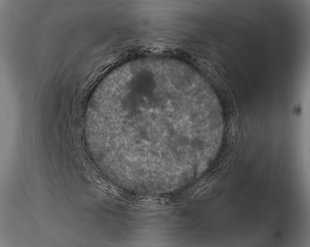 X0000115321105200911301552