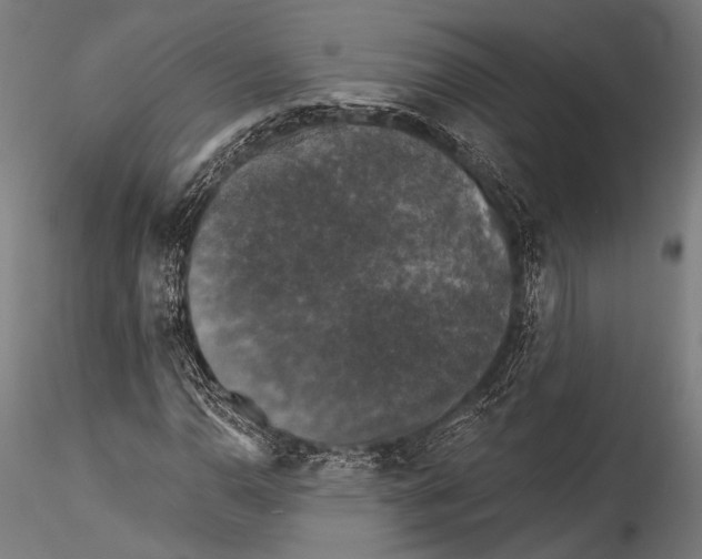 X0000115321110200911301552