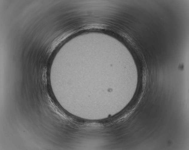 X0000115321113200911301552