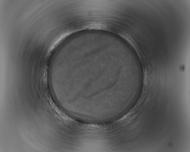 X0000115321115200911301552