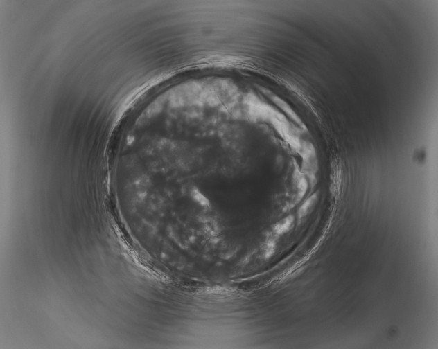 X0000115321117200911301552