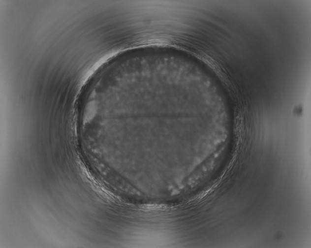 X0000115321118200911301552