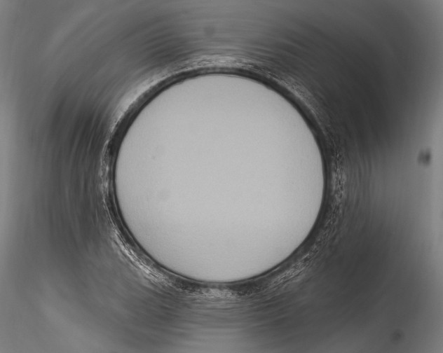 X0000115321119200911301552